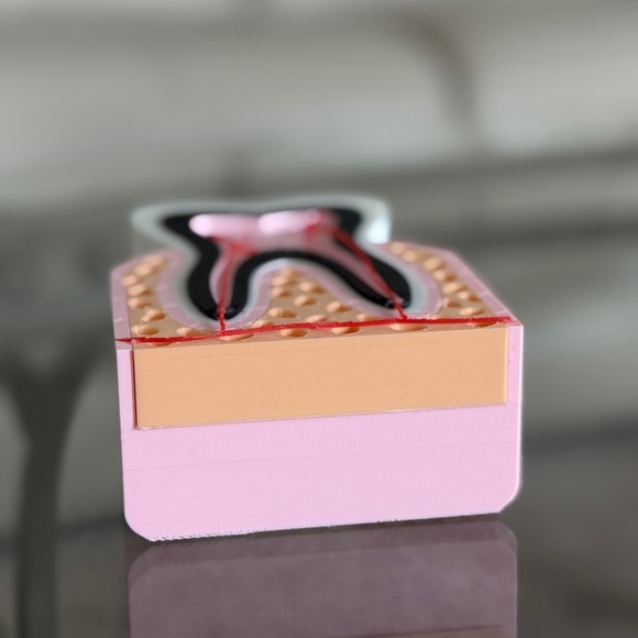 3D Printed Anatomical Tooth Model. - Picture 5 of 6